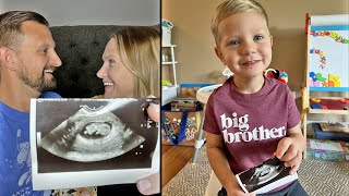 We're Pregnant Again! | Telling Our Toddler He'll Be A Big Brother!