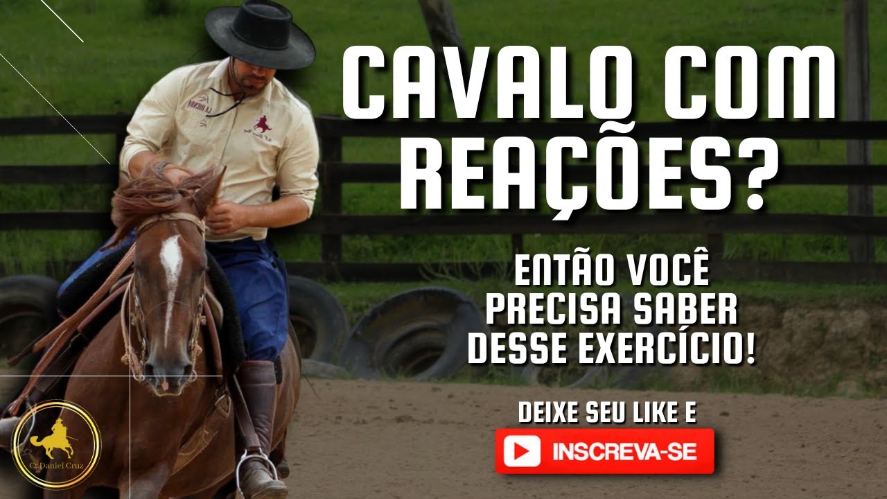Como trabalhar cavalos com reações!