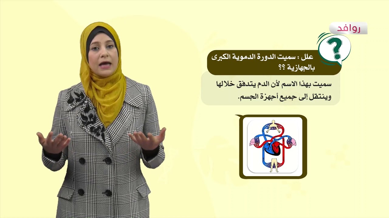 العلوم والحياة 6 - فصل 2 | الدورة الدموية في جسم الإنسان