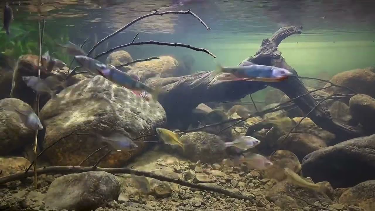 #BADC2022 / The bank of Bai River, Huairou, Beijing, China, 243 L