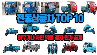 전동삼륜차 당진아재 농업용전동차 운반전기카트 TOP10