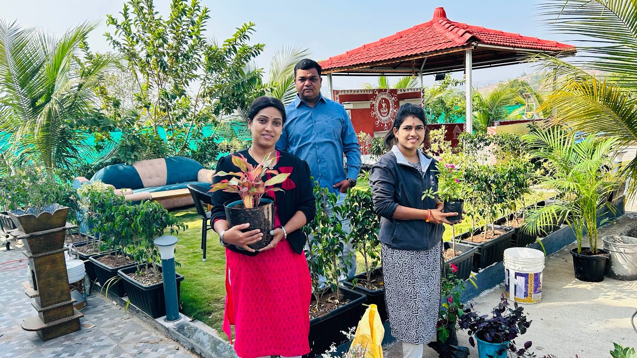 आज लावले indoor plants नवीन घरी , या झाडांनी घराच्या intry ची वाढवली शोभा .कधीही न ऐकलेली झाडे ll