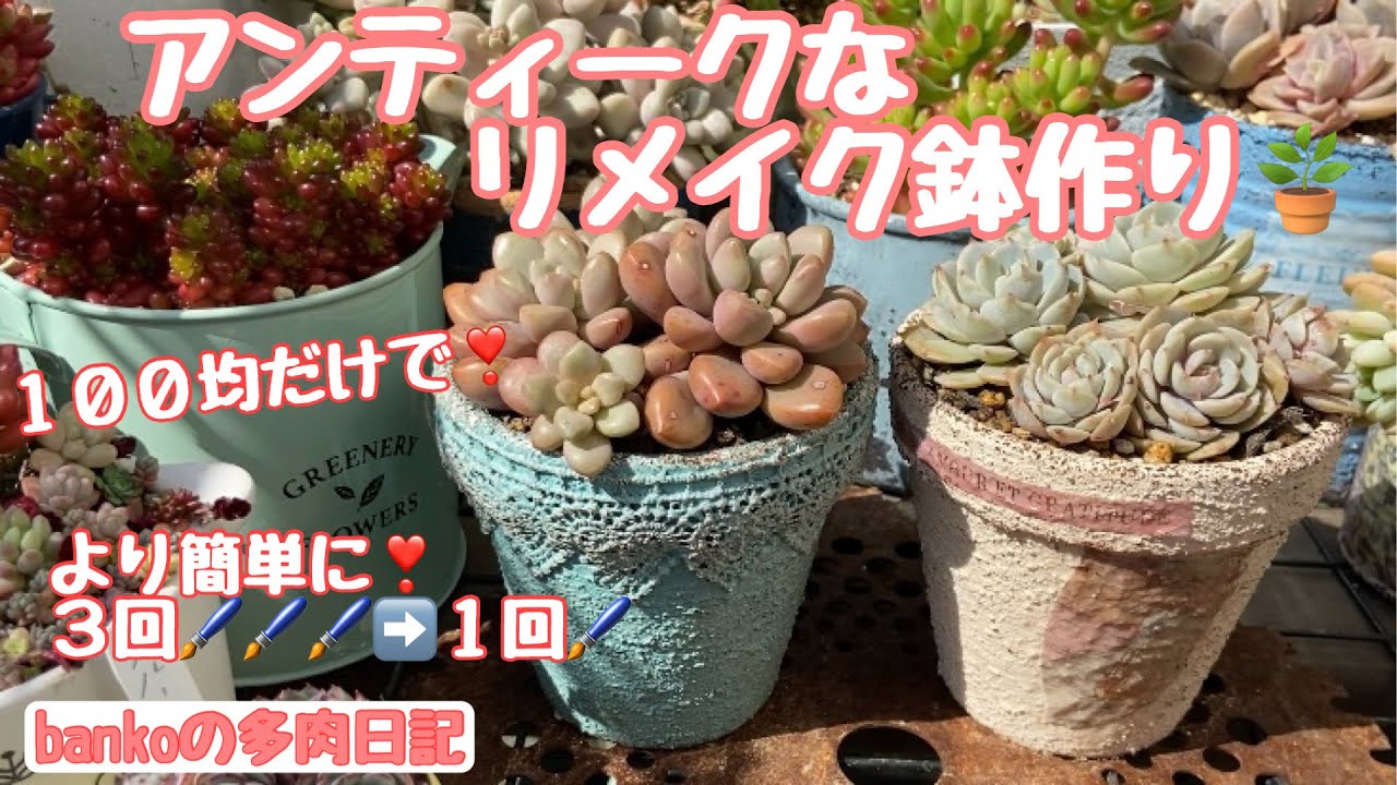 5号平鉢☆リメイク鉢　リメ鉢　リメ缶　リメイク缶　多肉寄せ植え　イチゴ 5号平鉢☆リメイク鉢 リメ鉢 リメ缶 リメイク缶 多肉寄せ植え イチゴ
