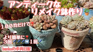 多肉日記#83】100均アイテムだけで作るリメ鉢🪴もっと簡単に出来る