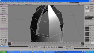 problems of crossingover in xsi.mp4