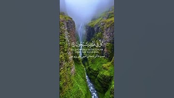 تلاوة هادئة تريح النفوس 🌹#راحة_نفسية #المصحف #قرآن #قران_كريم #لايك #اكسبلور #explore