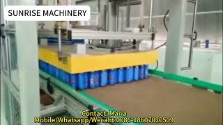 Aerosol Food Tin Can Depalletizer