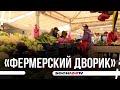 Где в Сочи самые дешевые продукты?