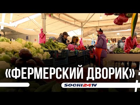 Где в Сочи самые дешевые продукты?