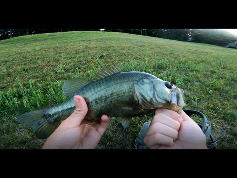 Night time Bass Fishing