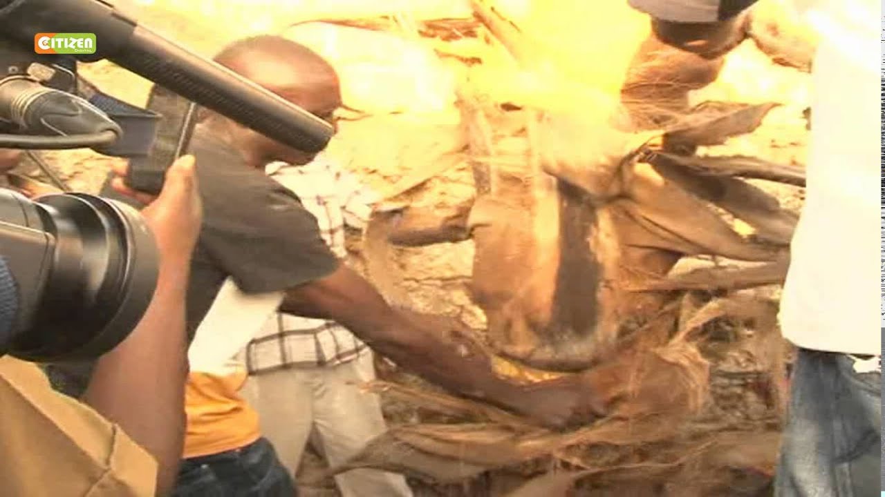 Crackdown on drugs in Mombasa