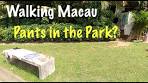 [4K] Walking Macau: PANTS IN THE PARK - Largo de Monte ...