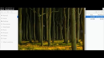 Forest | Stego Challenge of Hack The Box (HTB) solution using steghide and Python