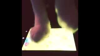 Crazy cat app screenshot 4