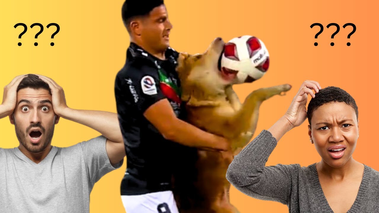 RAREST Football Moments