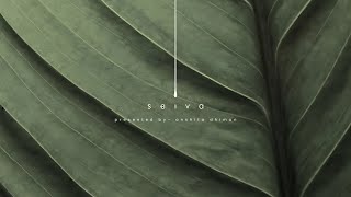 SEIVA – Eco-Resort Thesis in the Andaman Islands | Architecture Design Walkthrough