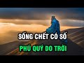 Sống chết có số, phú quý do trời: Thuận theo tự nhiên là cách sống của người trí tuệ