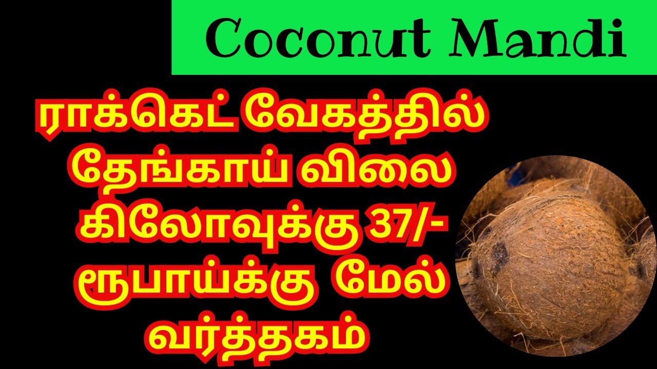 Modakurichi ராக்கெட் வேகத்தில் மேல செல்லும் தேங்காய் விலை | Coconut Rates Up ...