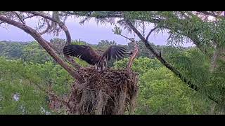 Winter Park Eagles Peanuts Wed Morning  Ins, Outs, Eagle Ballet So Much Fun May 13,2026 