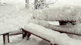 первый снег в декабре, Житомир.