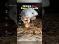 ranking funniest duck moments #usa