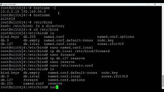 konfigurasi dns server debian 11 dan pengujiannya