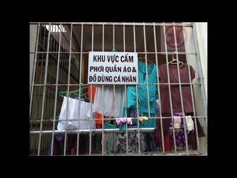 Video Tối cổ story #1 | bonfire meme văn hoá Việt Nam - youtube