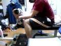 リスト　トレーニング