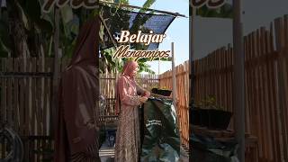 Belajar membuat kompos di rumah #berkebundirumah #berkebun #berkebun
