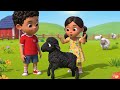 Untitled video