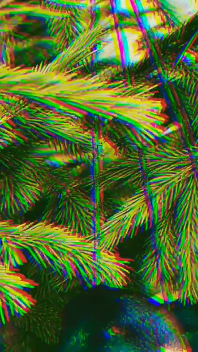 Весенняя охота на селезня кряковой утки. Результаты утрянки. #весенняя ...