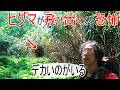 【この山ヤバい!!️】いつ飛び出てくるか分からない緊迫の状況でベアハンターが取った行動~登山しないサバイバリストの登山~飛鏃湿原
