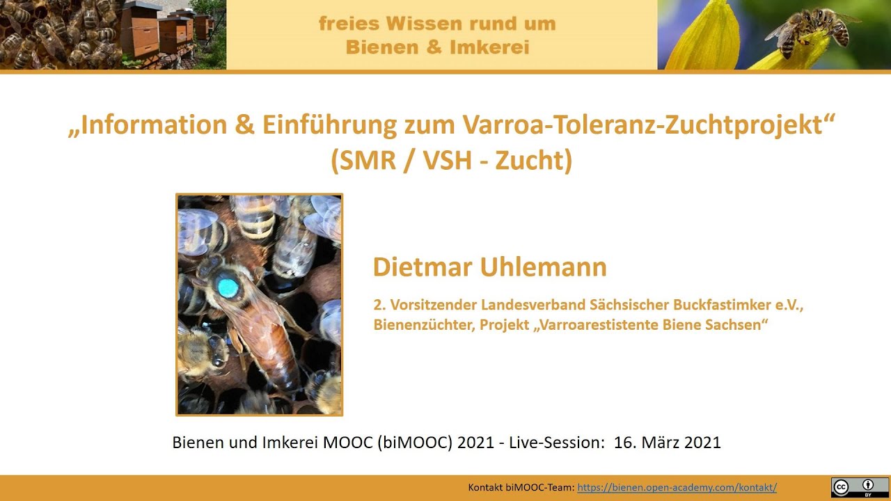 Information & Einführung zum Varroa-Toleranz-Zuchtprojekt (SMR / VSH - Zucht, biMOOC)
