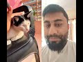 #cat #funny #foryou