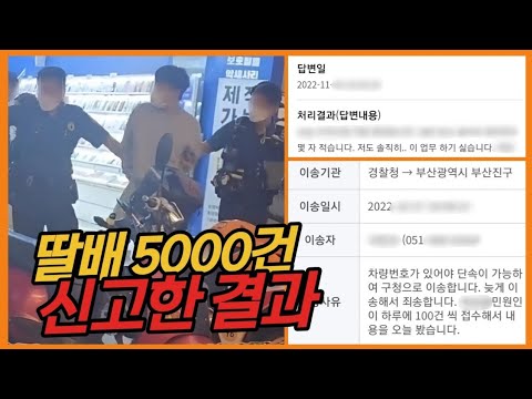   부산에서만 2억 원치 신고 했습니다ㅋㅋ 담당자들 죽을라카네요 7