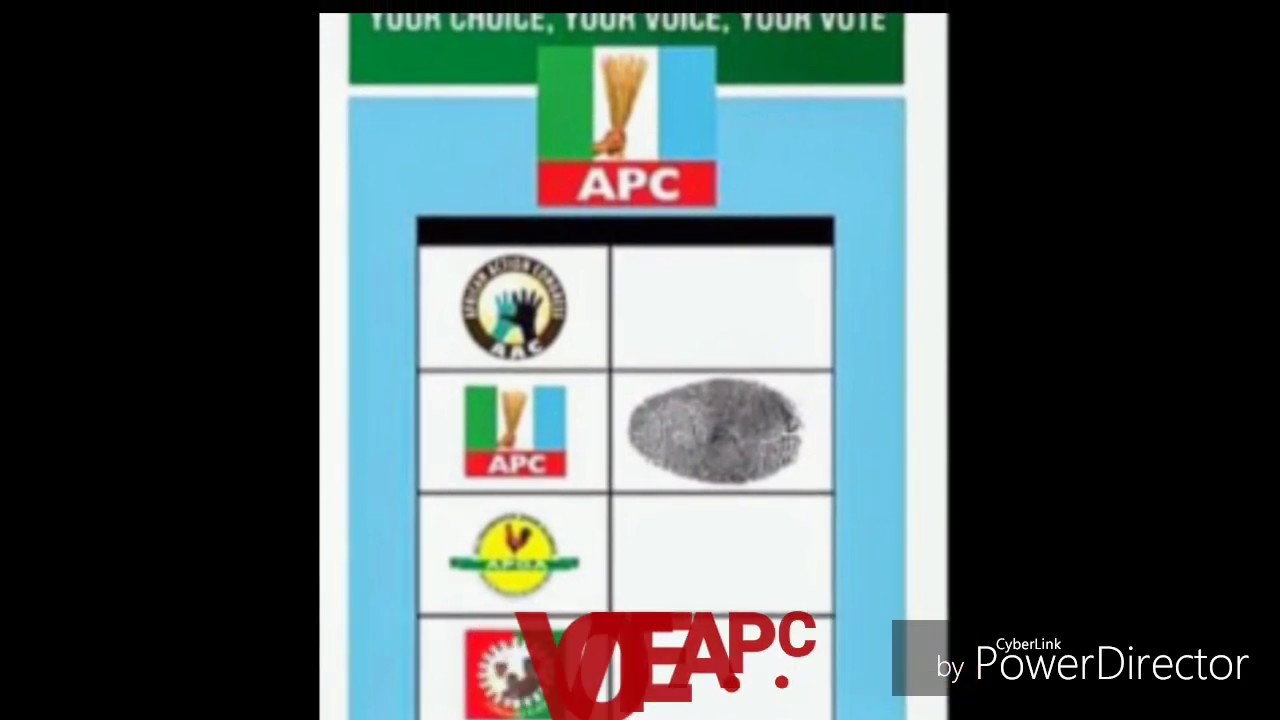 Mrs Constance Jingle HD