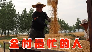 作為村裡的耕耘機高手每年收麥子的季節就是胖哥最忙的時候【小喬家胖大哥】