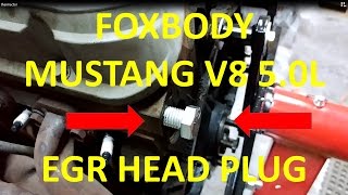 Ford Foxbody Mustang V8 EGR Thermactor Plugs