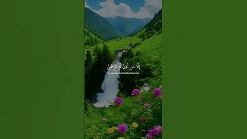 يَوْمَ يَقُومُ الرُّوحُ وَالْمَلَائِكَةُ صَفًّا ۖ #عبدالرحمن_مسعد #تلاوات_خاشعة #quran #اكسبلور