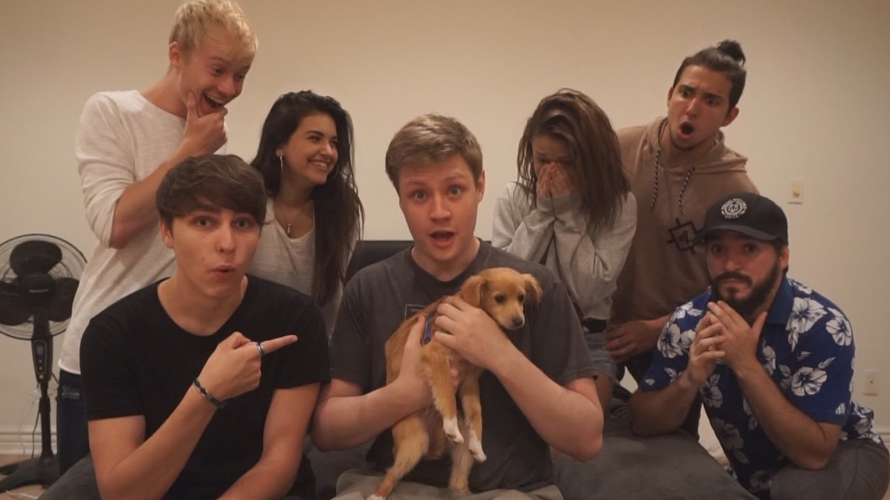SURPRISE PUPPY PRANK ON ROOMMATES!!