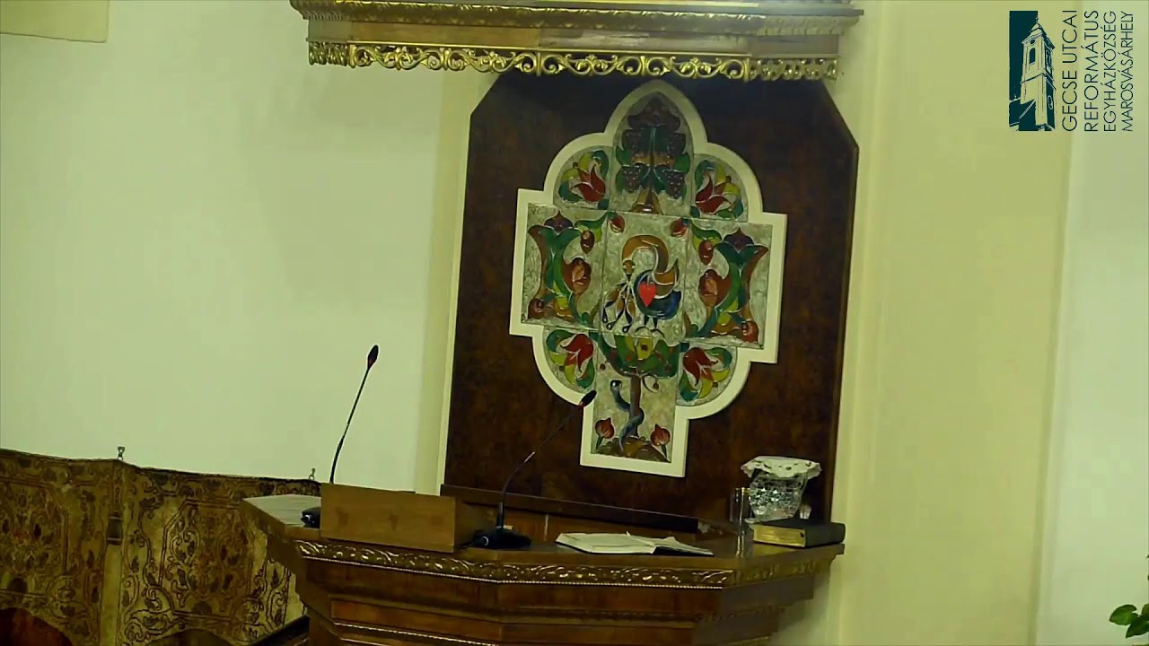 2026.02.20 18:00 óra, Székely Szabolcs