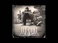 Ice cube  life in california