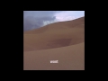 rei brown - wont