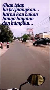 Story Wa Bunga Edelweis