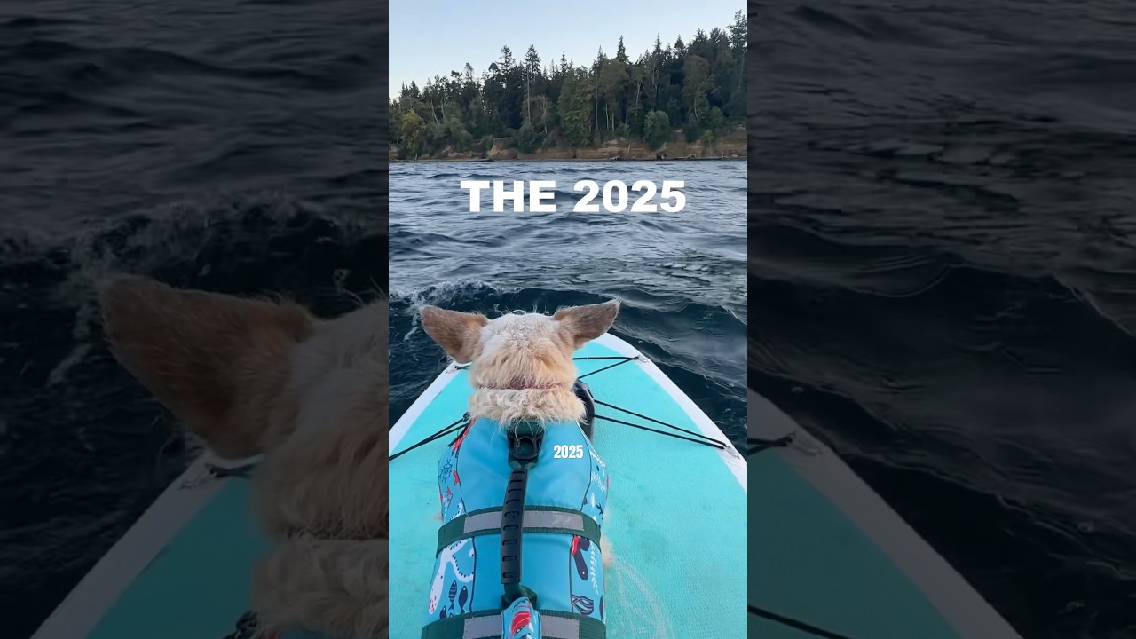 ⁣It was a beast, but hey, we're still alive. ⁠⁠2026 better watch out. #sailing #scubadiver