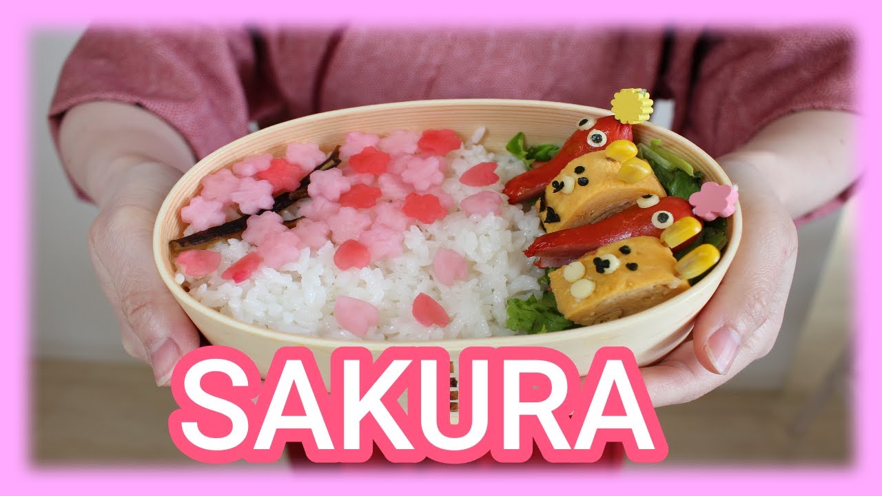 japanese cooking, hanami bento, cherry blossom viewing lunch box