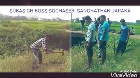 Save life save tree: official video