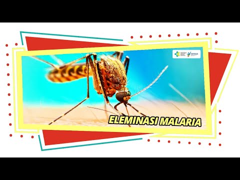 Eliminasi Malaria (FEATURE)