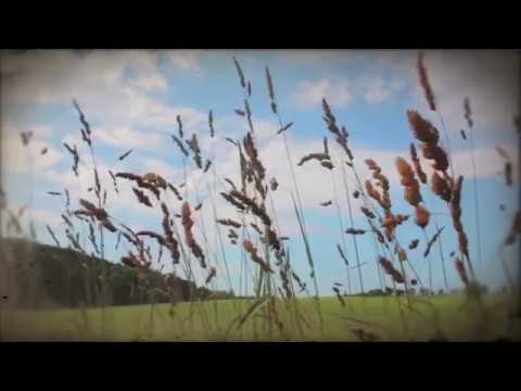 Wolfgang Lederer - Dreaming (Official Music Video)