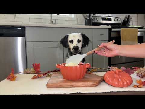 Whiskers & Whisks: A Dog-Friendly Thanksgiving Meal